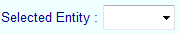 1. Selected Entity Drop down