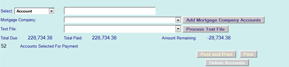 3. Selected Accounts for Payment Section